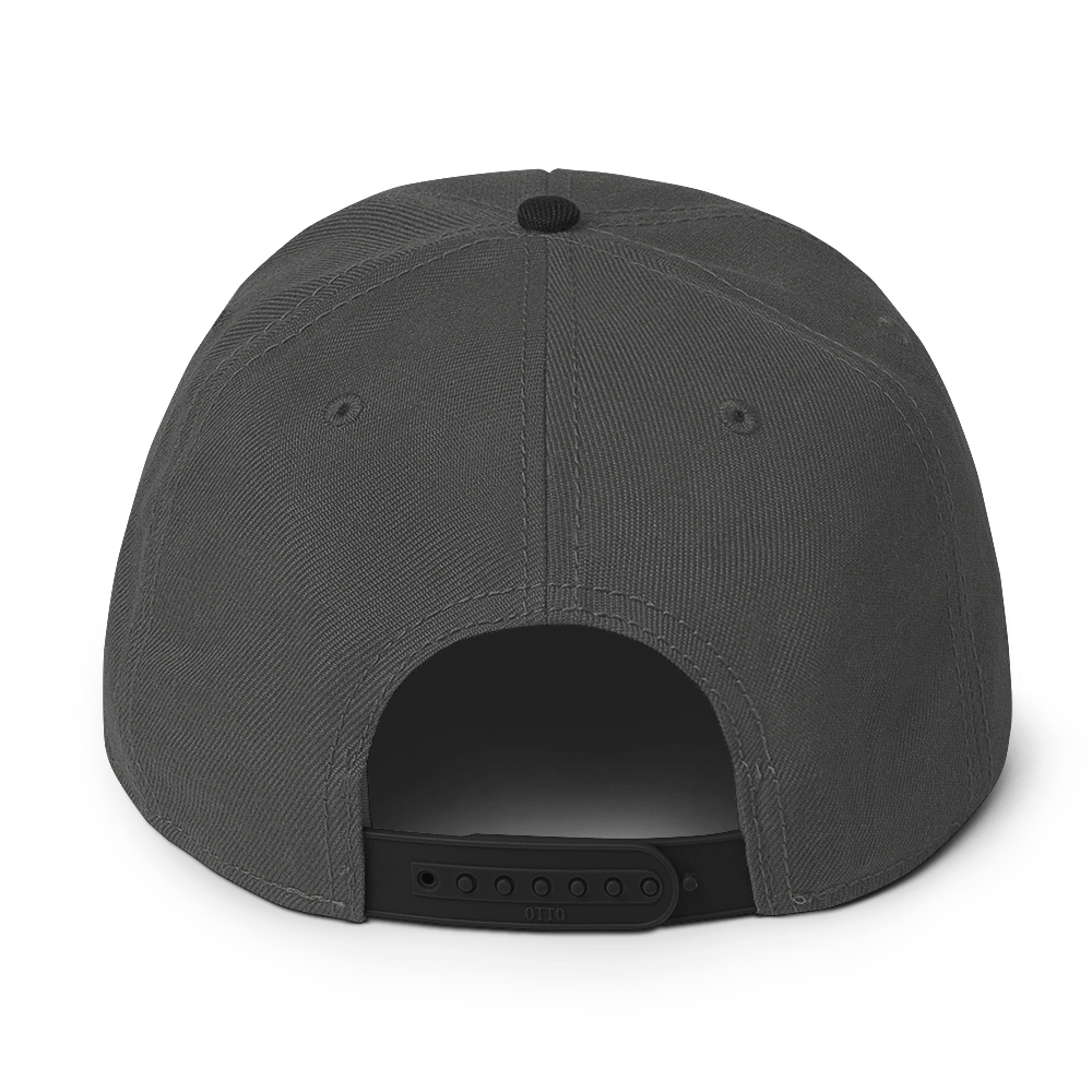 Pretendo Flatbill Hat