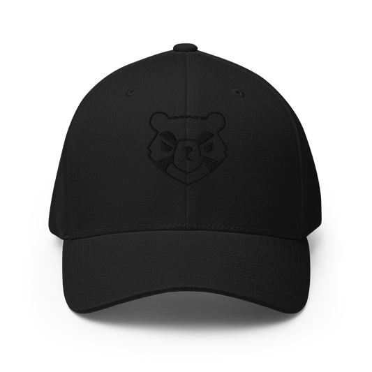 Stealth 2.0 Cap