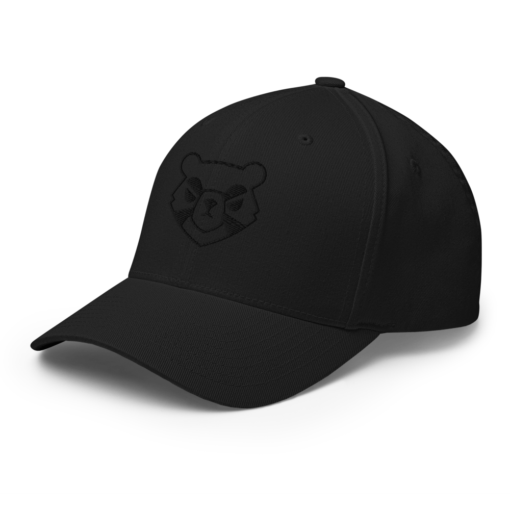 Stealth 2.0 Cap