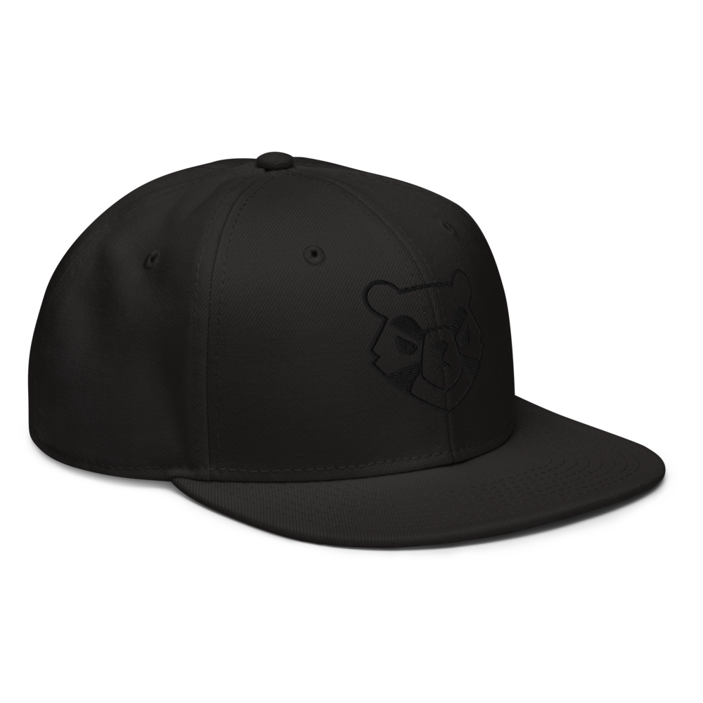 Stealth 2.0 Flatbill Hat