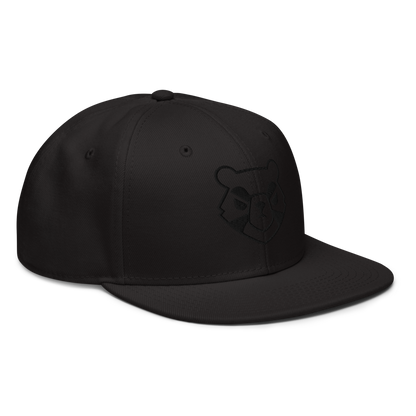 Stealth 2.0 Flatbill Hat